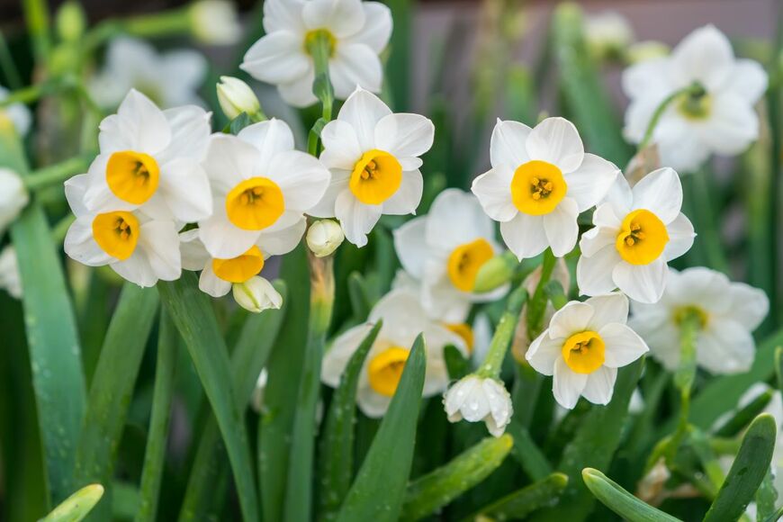 asharkyu/shutterstock.com