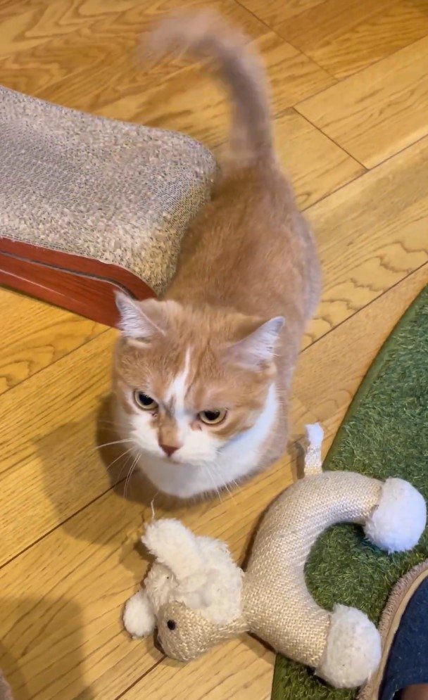 出所：@kotaro_0315