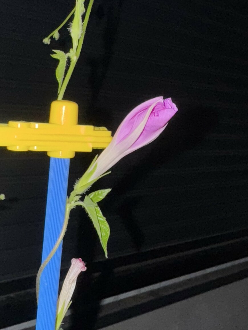 出所：@bokun_bokun