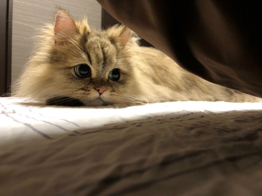 出所：@UphQepCv8J