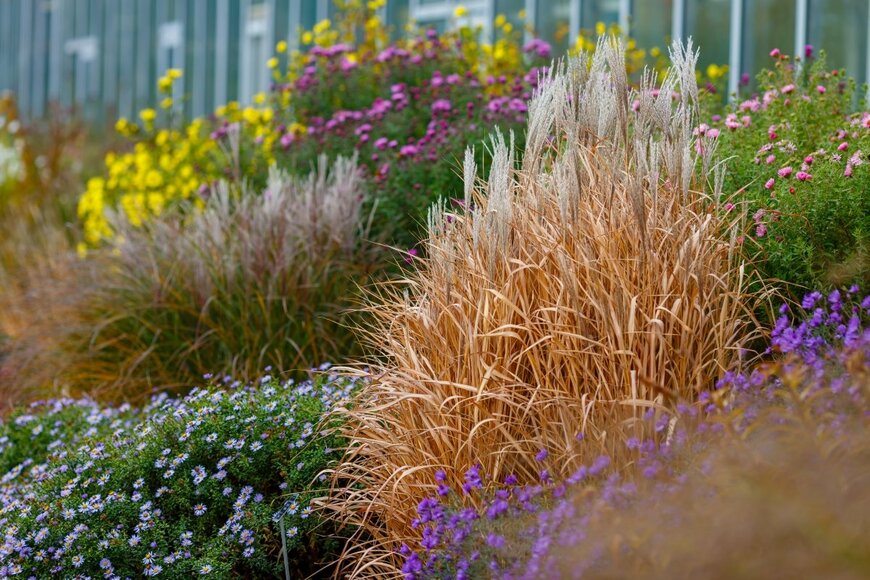 Flower_Garden/shutterstock.com