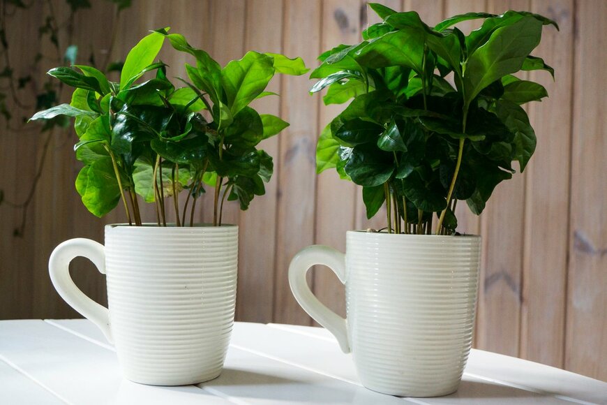 Vita Yarmolyuk/Shutterstock.com