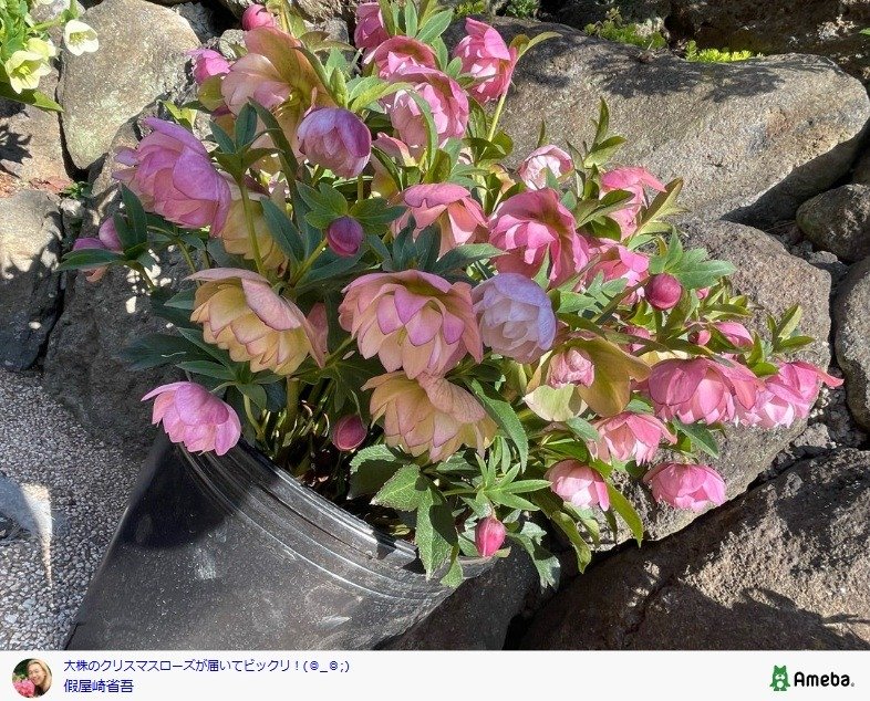 出所：假屋崎省吾の公式ブログ 参照日：2026年3月16日