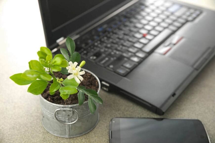 nattul/istockphoto.com