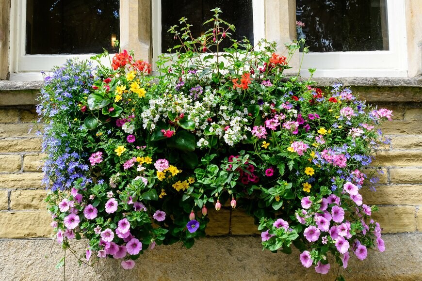 Cristina Ionescu/Shutterstock.com