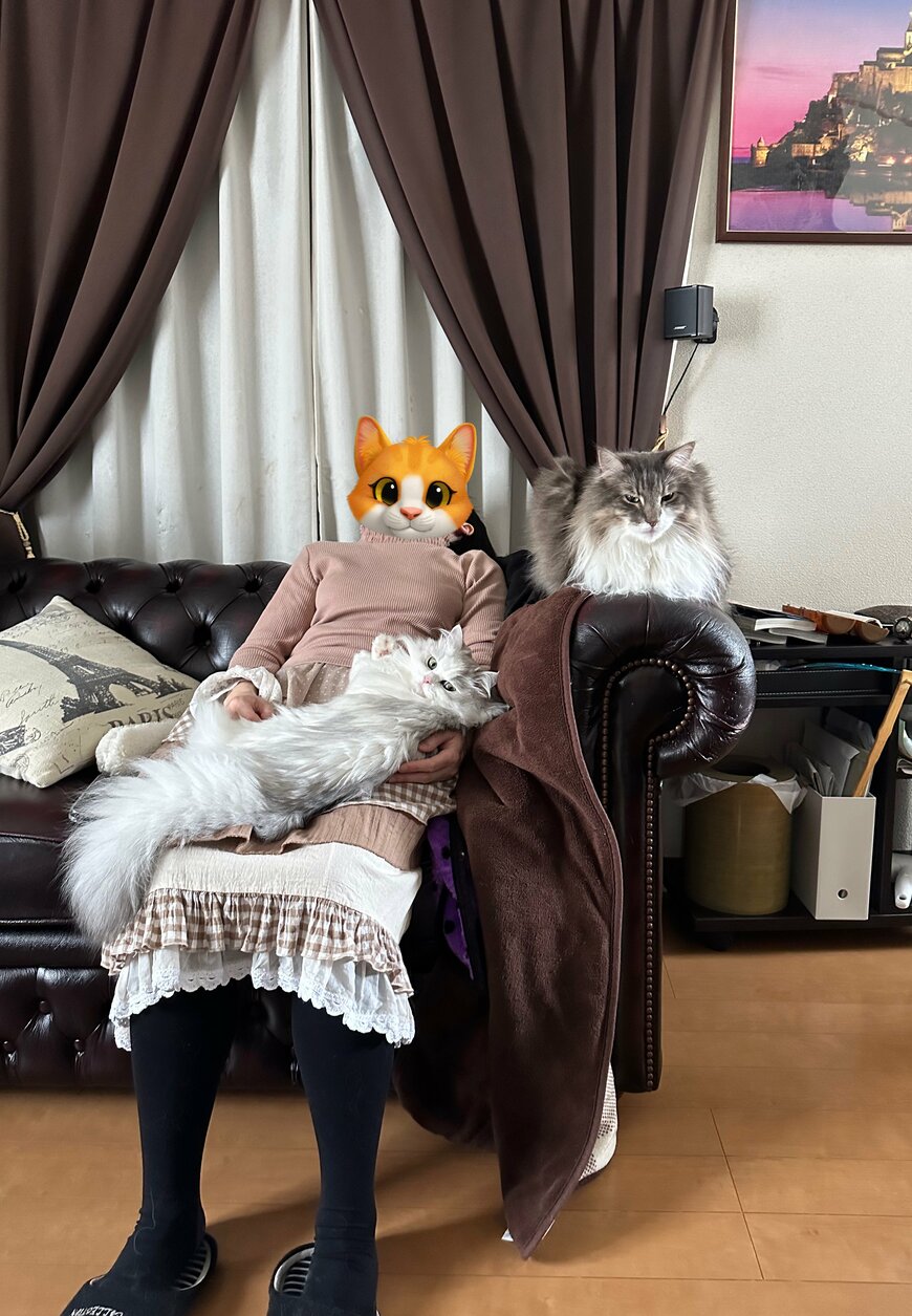 出所：@NEKOLAND13