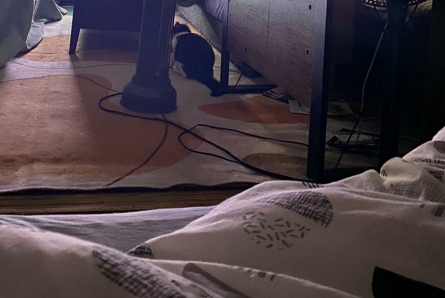 出所：@00shitemita