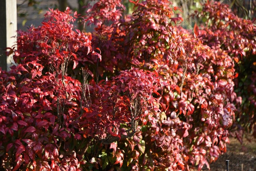 undefined undefined/istockphoto.com