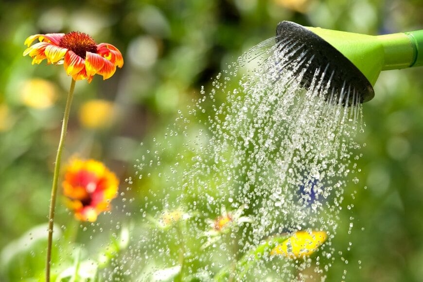 AlexRaths/istockphoto.com