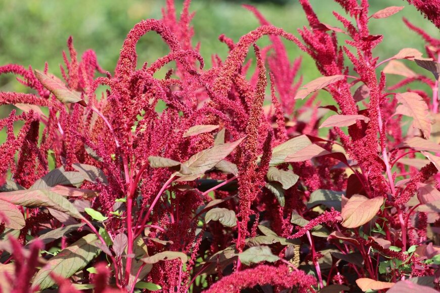 Kabar/shutterstock.com