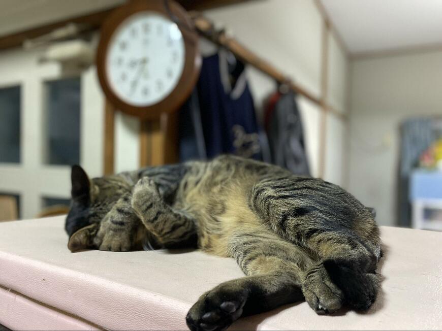 出所：@luna7taka9