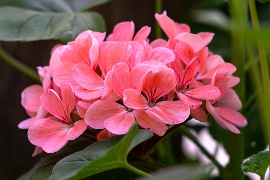 Anna Grigorjeva/istockphoto.com