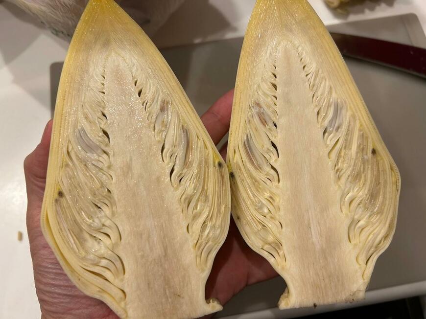 皮をむいたバナナの花