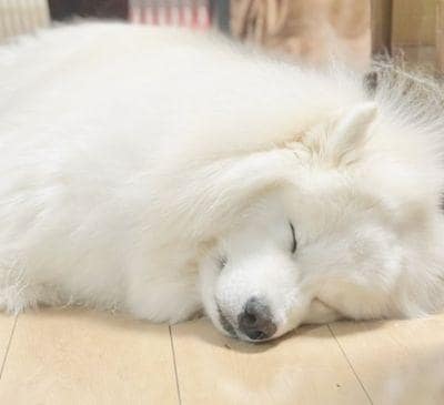 投稿の画像