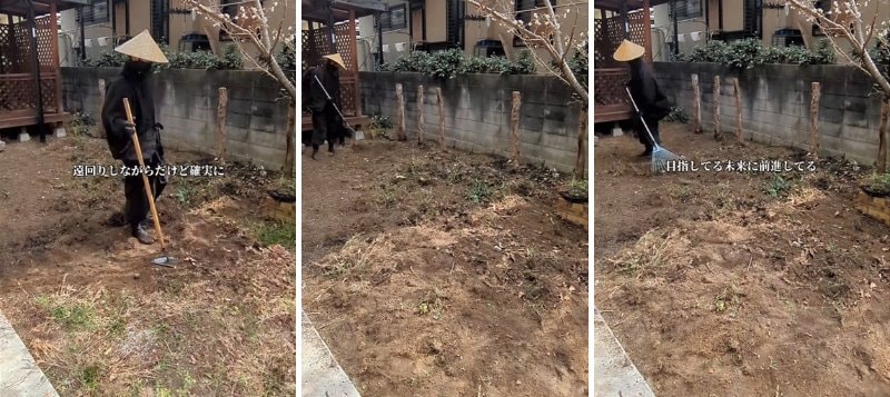 投稿の画像