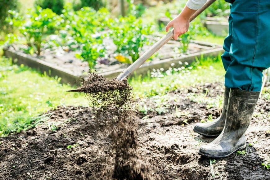 土を耕している様子