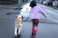 【生後3か月の愛犬と7歳の娘】約6年後に撮影された「同じ構図の写真」がエモすぎる…　「こういうの弱い」