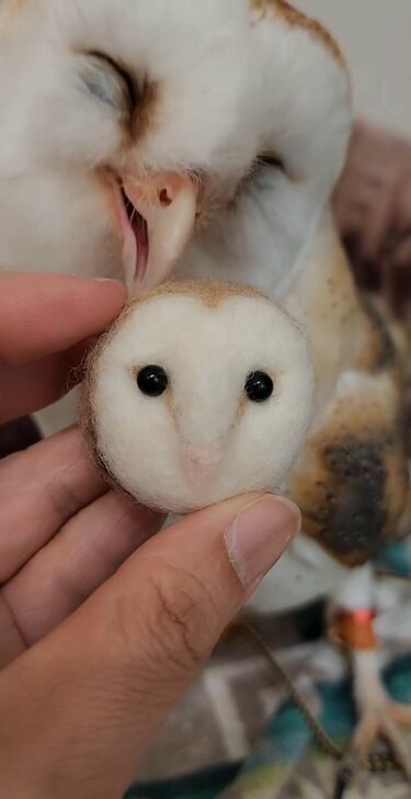 羊毛フェルトとフクロウ】同じ顔がふたつ！？飼い主さん渾身の作品に