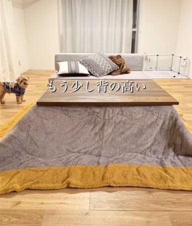 変身前のこたつ