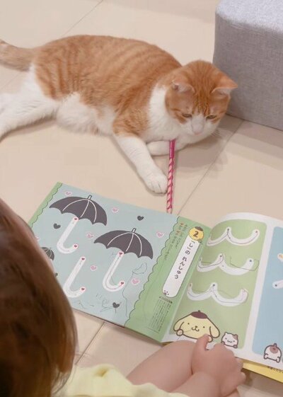 幼児のお勉強を見守る猫ちゃん