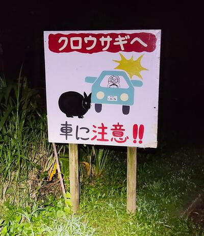 「クロウサギへ」と書かれた看板