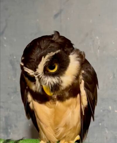 投稿動画のワンシーン