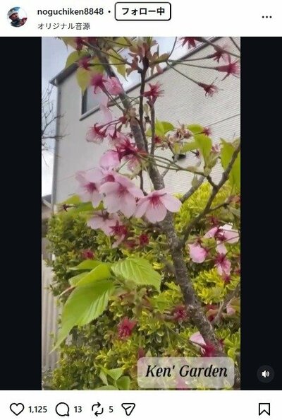 野口健のInstagram投稿