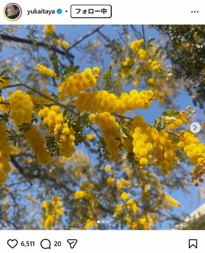 板谷由夏のInstagram投稿