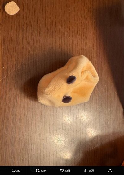北川景子のX投稿