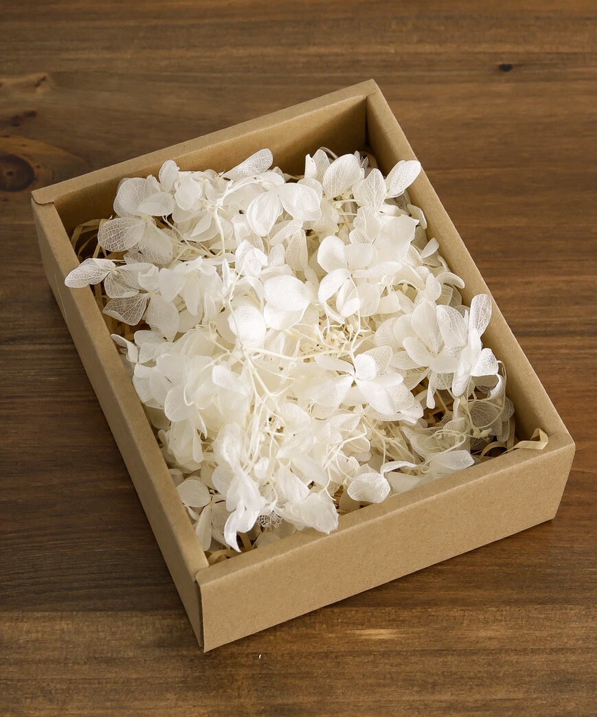 画像出典：PAL CLOSET公式