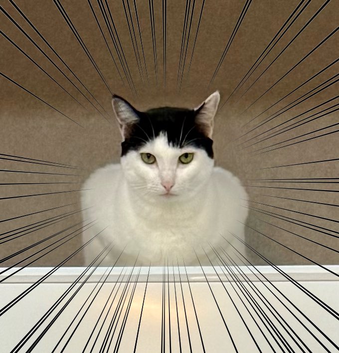 出所：@omochi_nam01