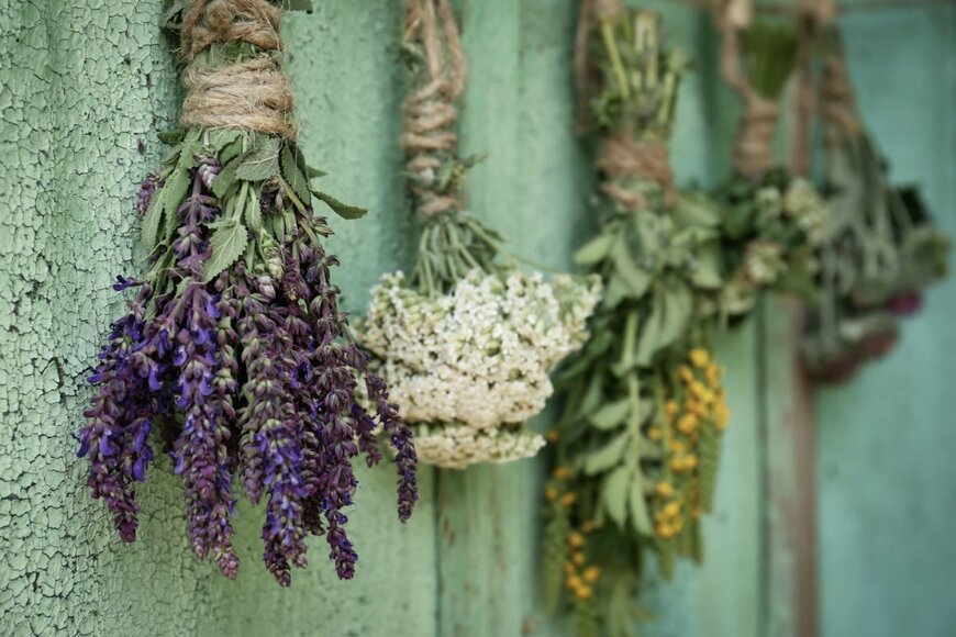 New Africa/shutterstock.com