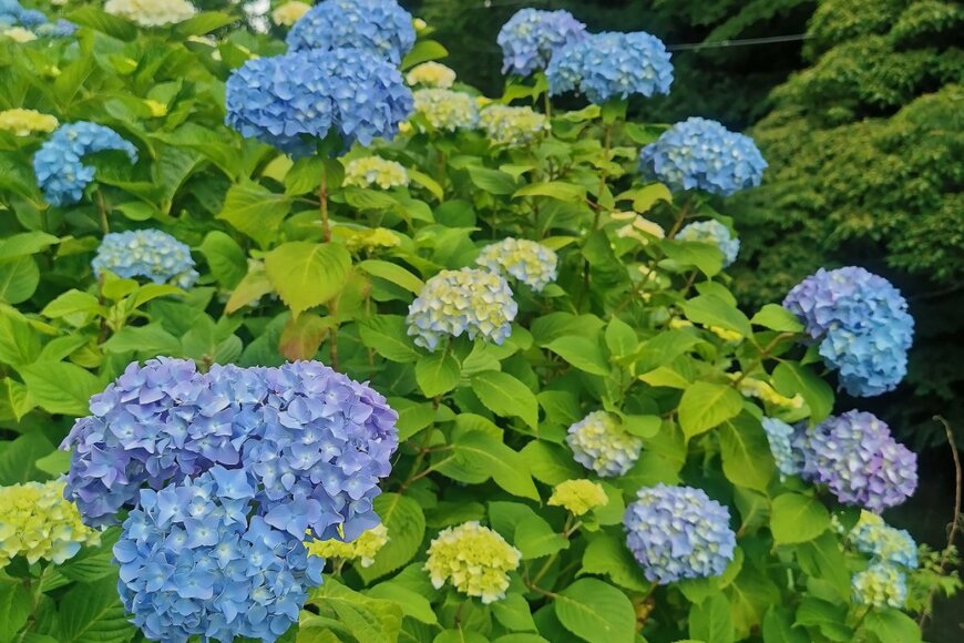 Starshooting/shutterstock.com