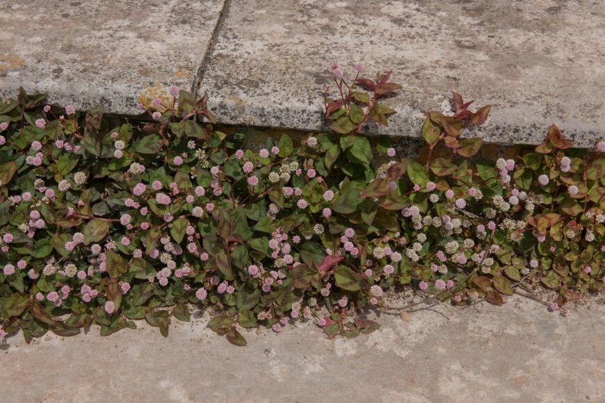 Peter Turner Photography/shutterstock.com