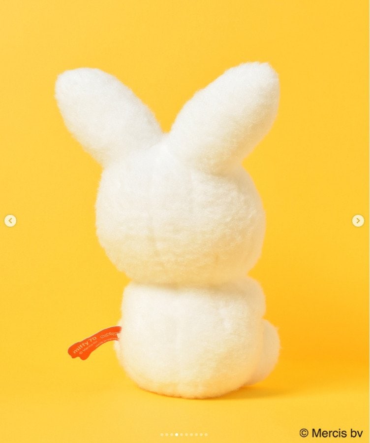 出所：ブルーブルーエ公式Instagram