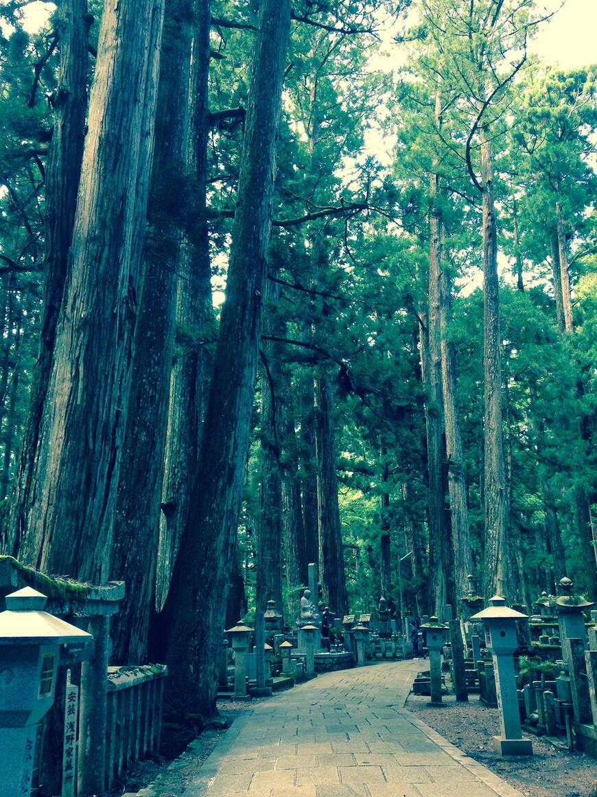 写真：筆者撮影