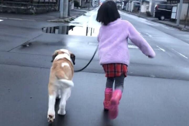【生後3か月の愛犬と7歳の娘】約6年後に撮影された「同じ構図の写真」がエモすぎる…　「こういうの弱い」