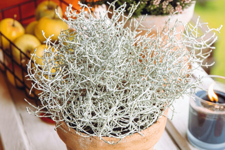 Helin Loik-Tomson/istockphoto.com