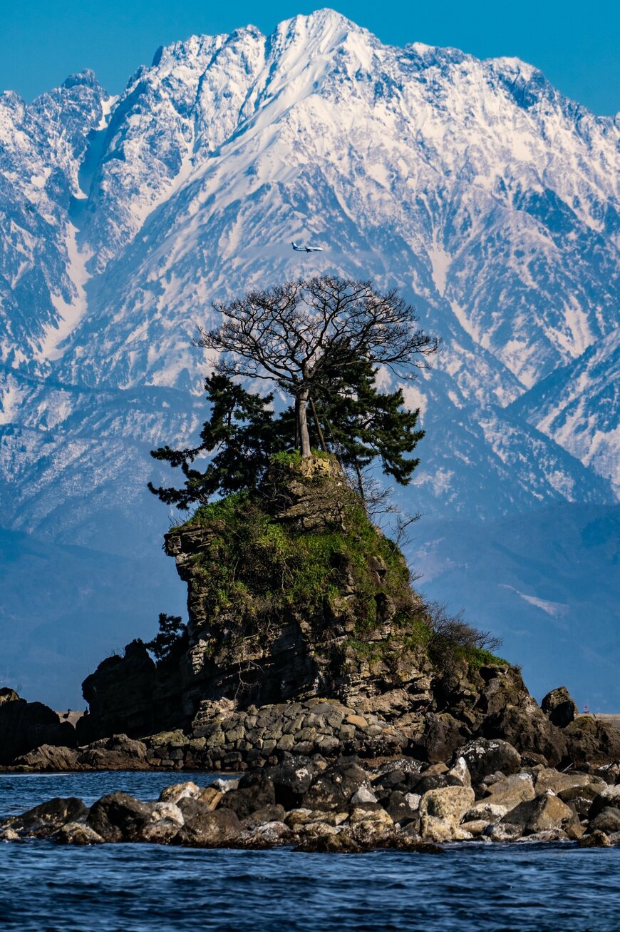 出所：@inagakiyasuto