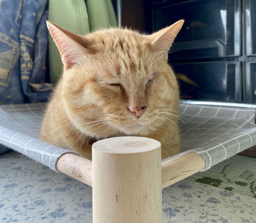 出所：@luna7taka9