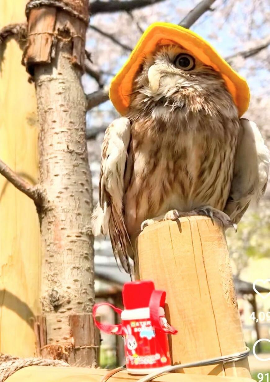 出所：@cr8673.hiro