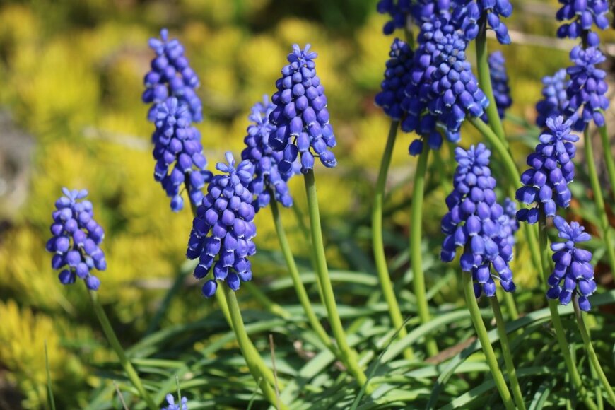 Iretomide Ishola/shutterstock.com