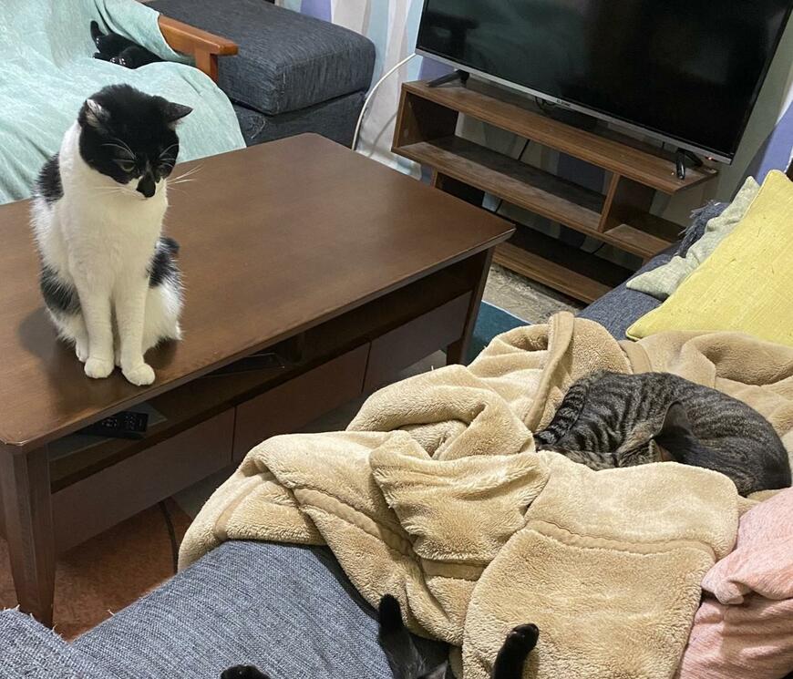 出所：@00shitemita