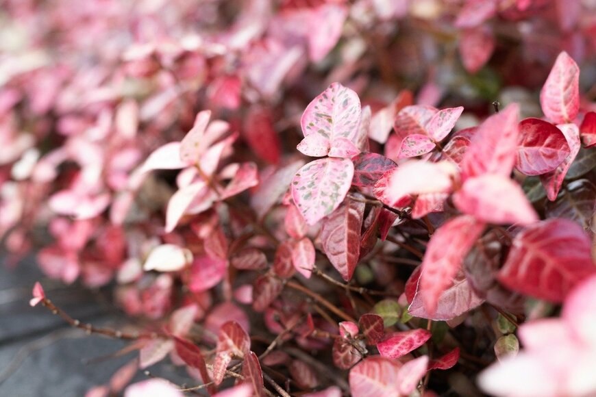 kaorinne/istockphoto.com