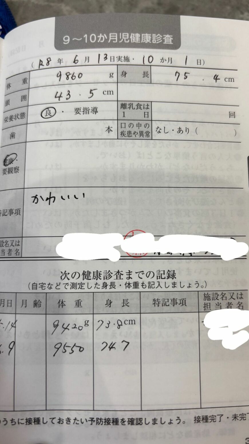 特記事項「かわいい」