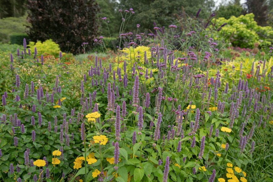 Peter Turner Photography/shutterstock.com