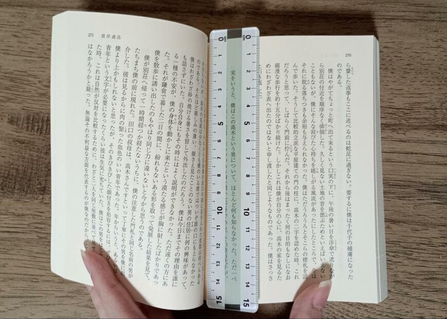 筆者撮影（キャンドゥ、左右対応定規 リーディングトラッカー付）