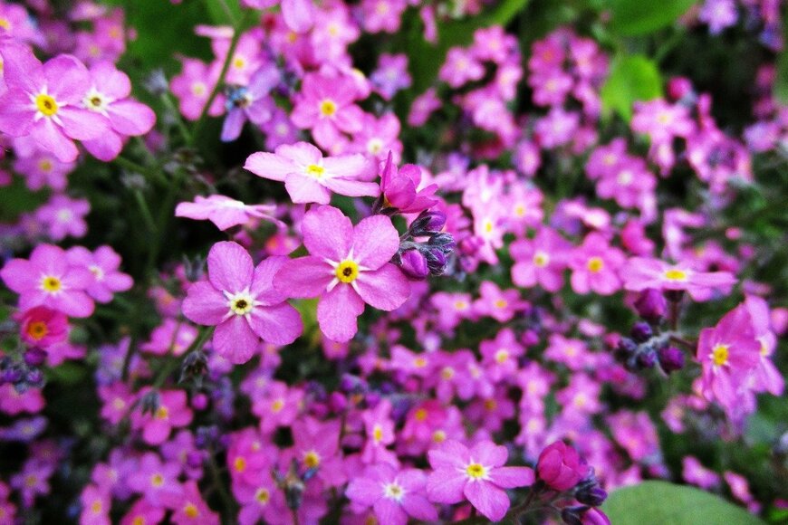 Rolleen Ho K/istockphoto.com