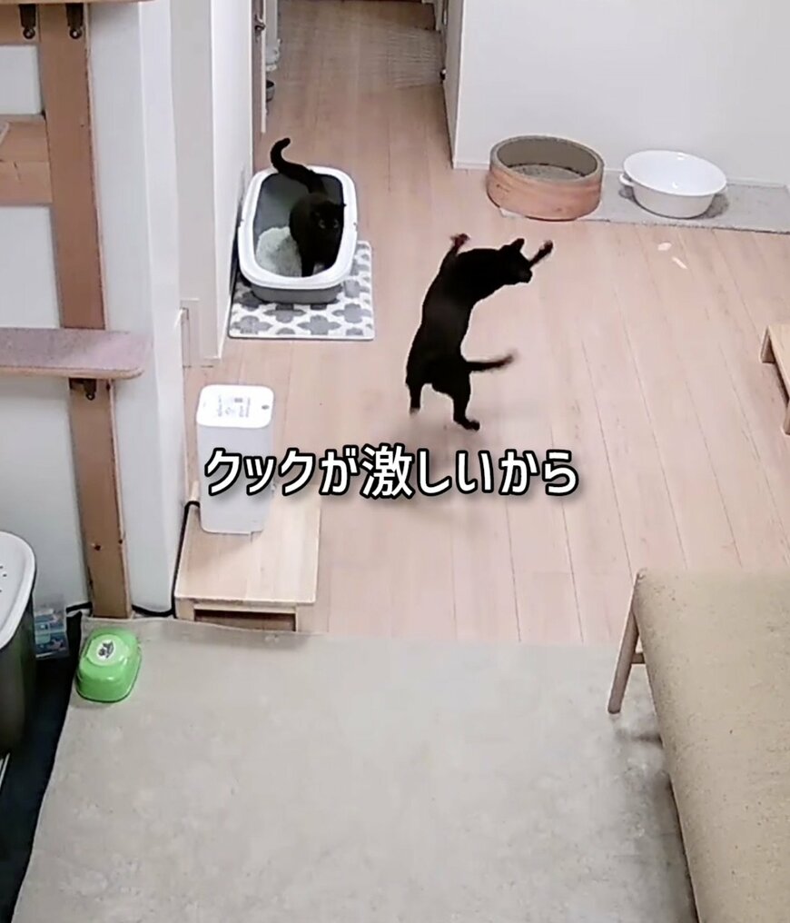 出所：@hukuhukuhappi