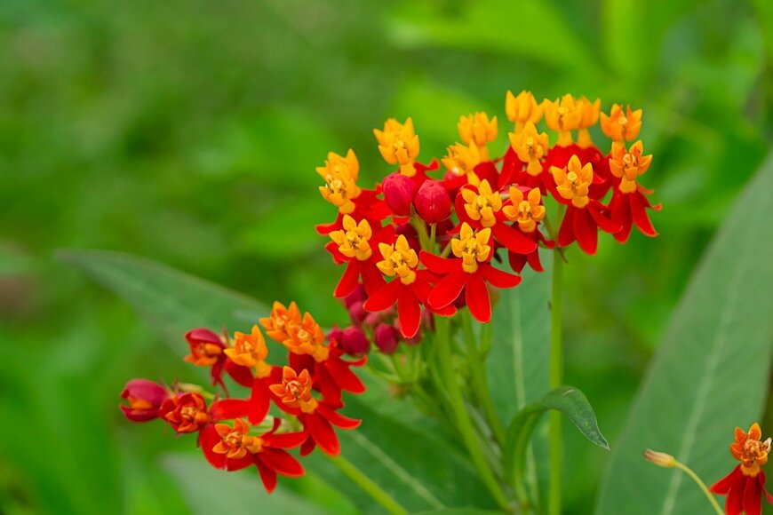 Noppharat05081977/istockphoto.com